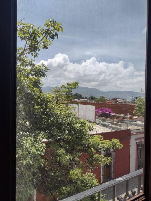 M1010 Agradable Departamento Centrico En Oaxaca Apartment Exterior photo